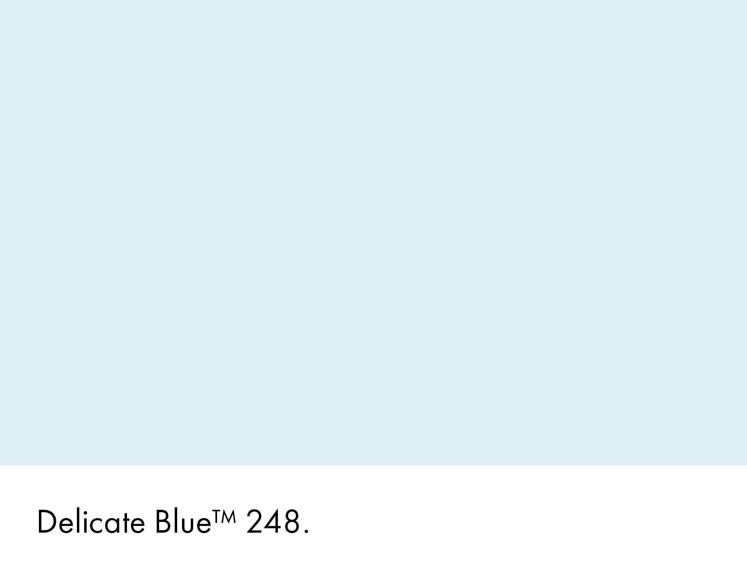Delicate Blue